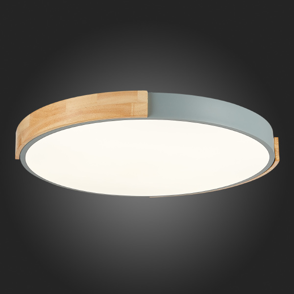 Светильник потолочный Delia SLE201372-01