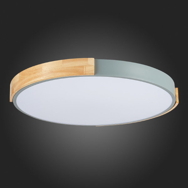 Светильник потолочный Delia SLE201372-01