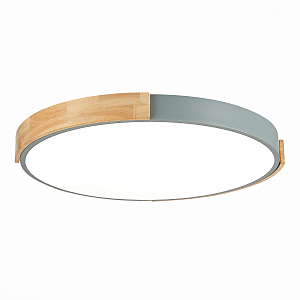 Светильник потолочный Delia SLE201372-01