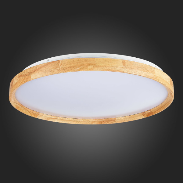 Светильник потолочный Delia SLE201382-01