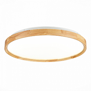 Светильник потолочный Delia SLE201382-01