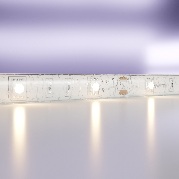 LED лента LSM 12V 5050 10123
