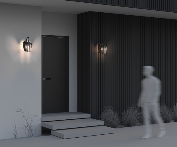 Уличный настенный светильник Albion O413WL-01BZ