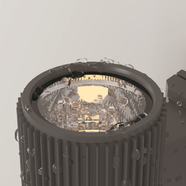 Уличный настенный светильник Rando O419WL-01GR