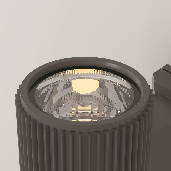 Уличный настенный светильник Rando O419WL-01GR