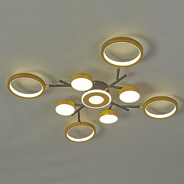 Потолочная люстра Optimal 10206/9LED