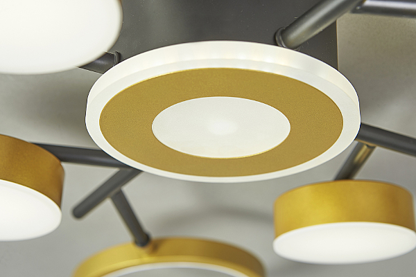 Потолочная люстра Optimal 10206/9LED