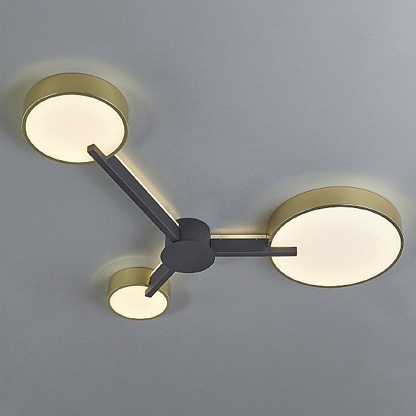 Потолочная люстра Expert 10209/3LED