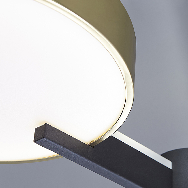 Потолочная люстра Expert 10209/3LED