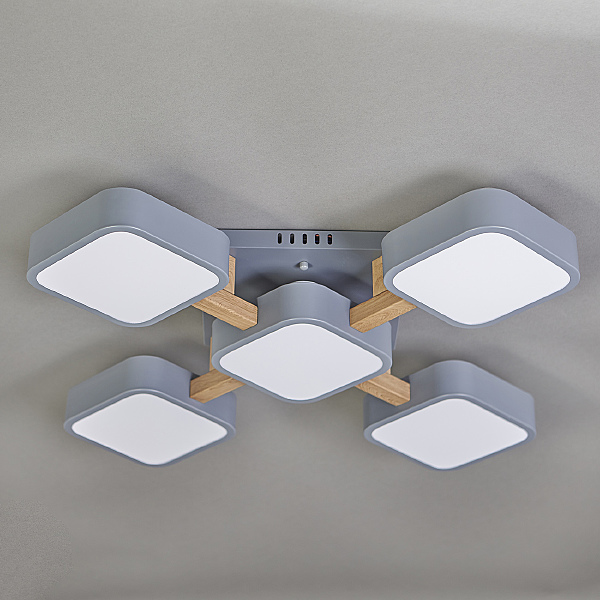 Потолочная люстра Ulrika 10213/5LED