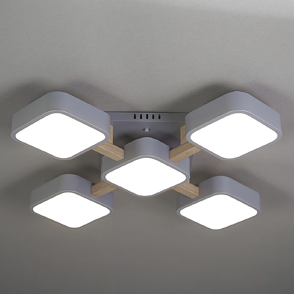 Потолочная люстра Ulrika 10213/5LED