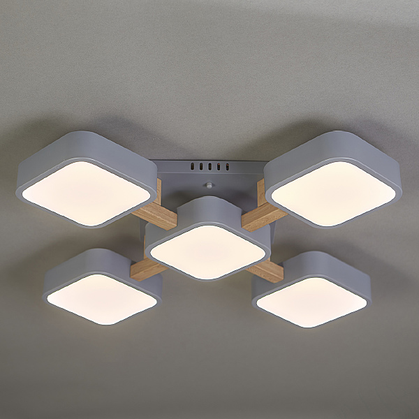 Потолочная люстра Ulrika 10213/5LED