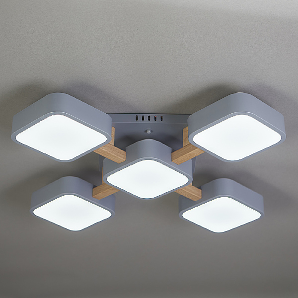 Потолочная люстра Ulrika 10213/5LED