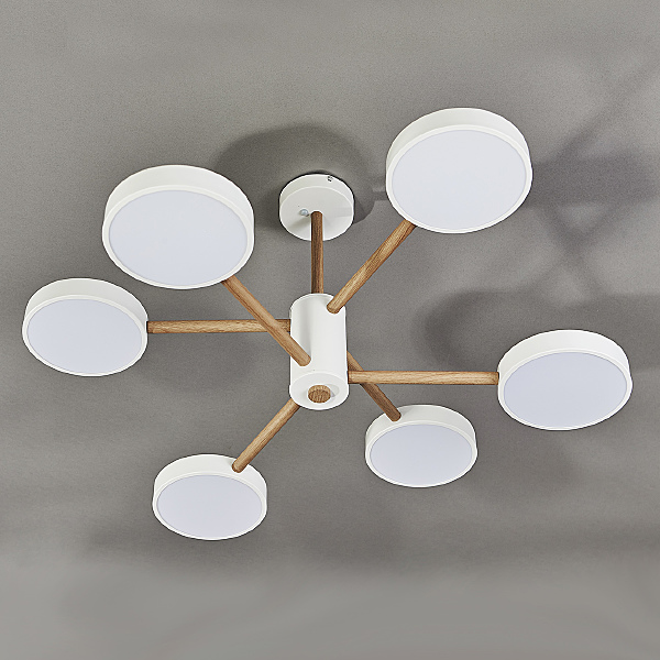 Потолочная люстра Astrid 10236/6LED