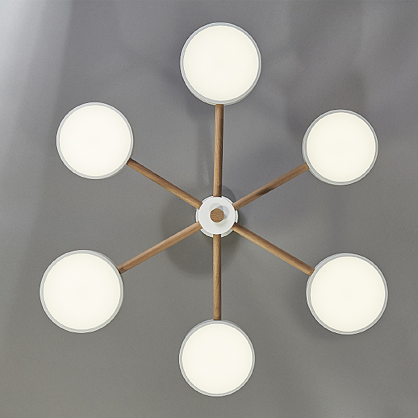 Потолочная люстра Astrid 10236/6LED