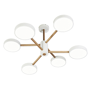 Потолочная люстра Astrid 10236/6LED