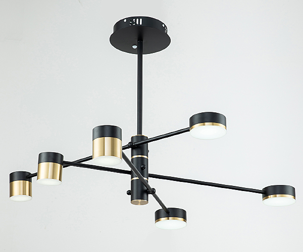 Потолочная люстра Perspective 10246/6LED