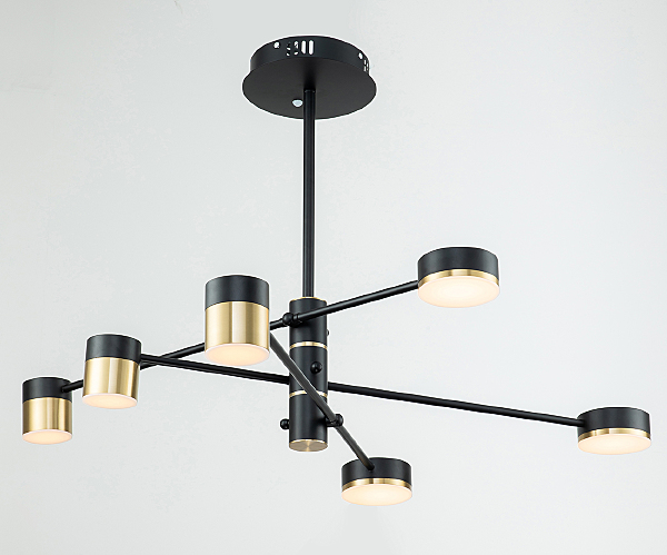 Потолочная люстра Perspective 10246/6LED