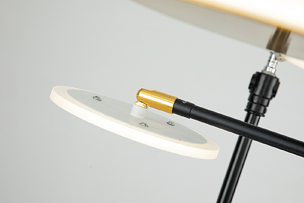 Потолочная люстра Cassiopeia 10247/8LED