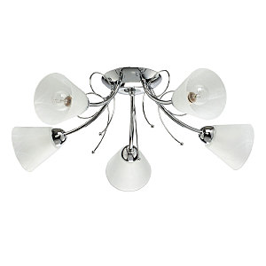 Потолочная люстра Нежность 676016405