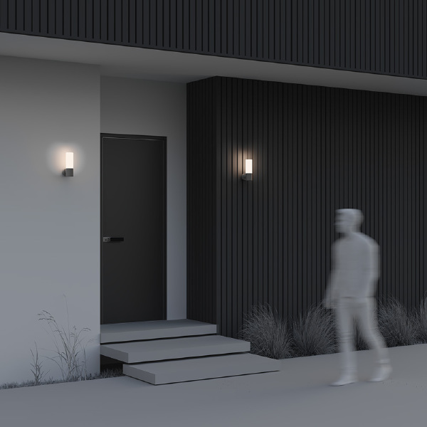 Уличный настенный светильник Willis O418WL-01GR