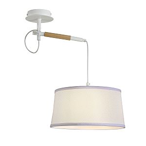 Светильник подвесной Eureka 3005-1P