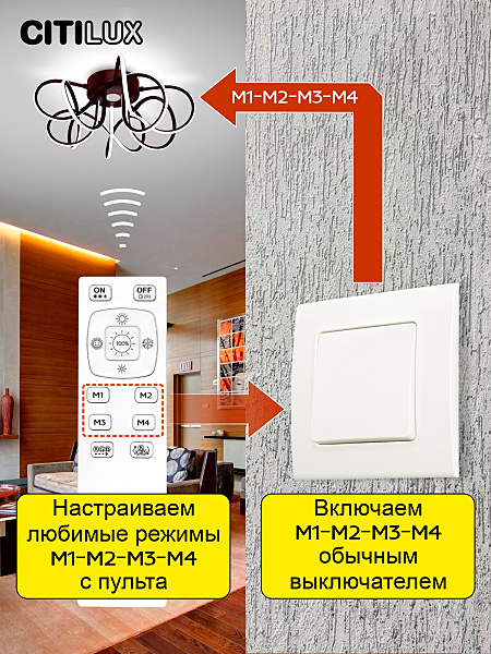 Потолочная люстра Мишель CL229155