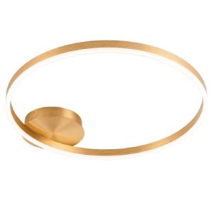 Светильник потолочный Planetary 4005/05/01C