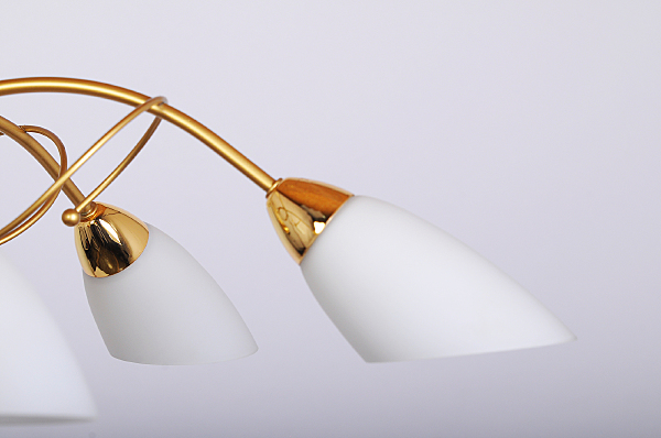 Подвесная люстра 169 169L06FO