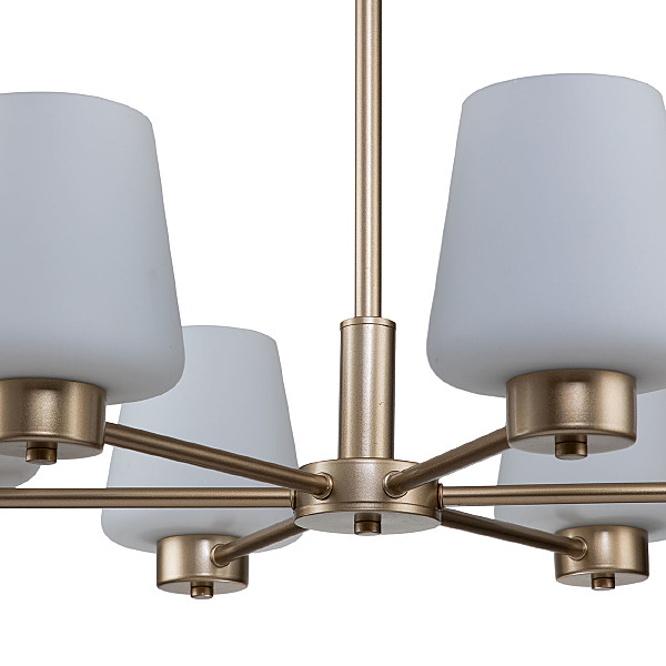 Подвесная люстра Tulip 13004/6P Gold V000001