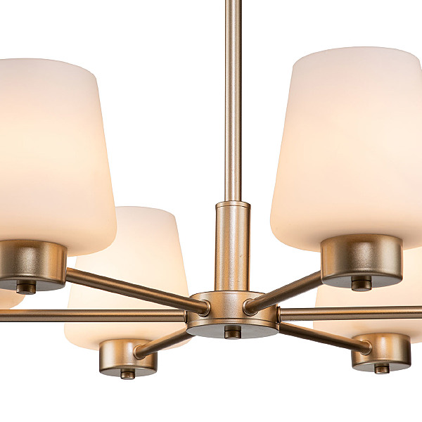 Подвесная люстра Tulip 13004/6P Gold V000001