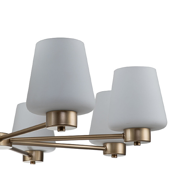 Подвесная люстра Tulip 13004/8P Gold V000002