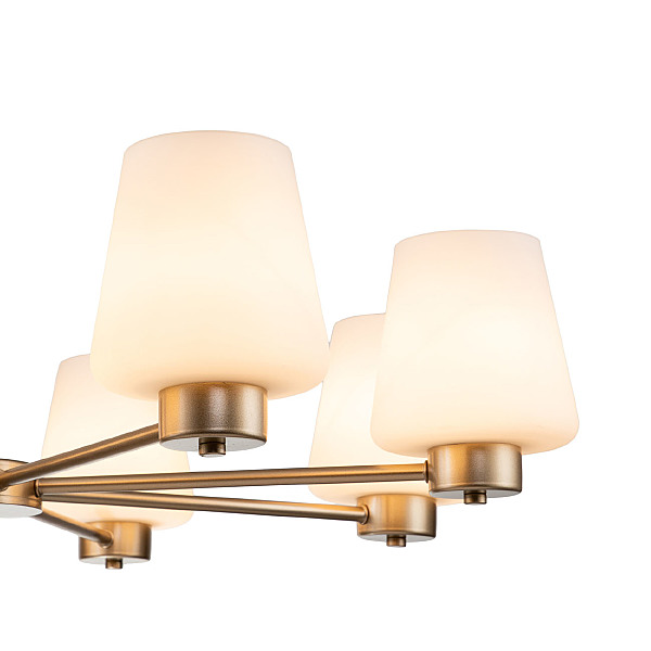 Подвесная люстра Tulip 13004/8P Gold V000002