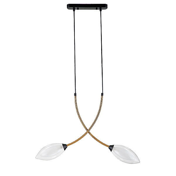 Светильник подвесной Fiore 13001/2P Black V000140