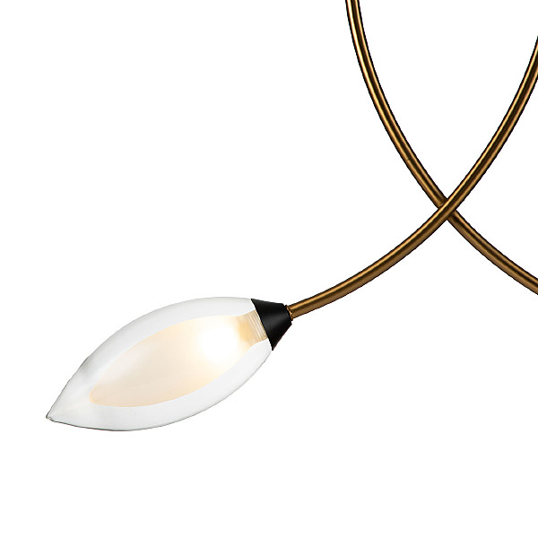 Светильник подвесной Fiore 13001/2P Black V000140