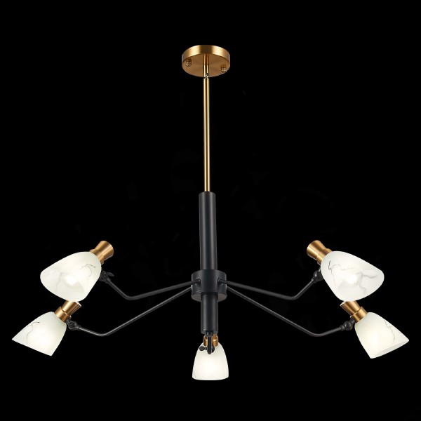 Люстра на штанге Lita SLE205403-05