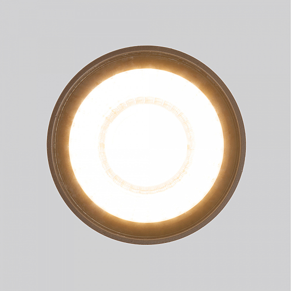 Уличный потолочный светильник Light LED Light LED 2105 (35132/H) черный