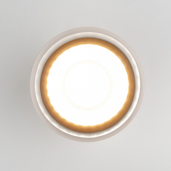 Уличный потолочный светильник Light LED Light LED 2107 (35140/H) черный