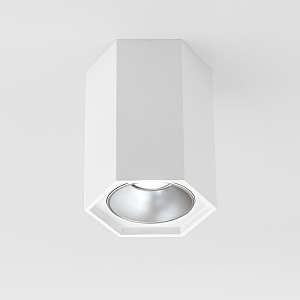 Накладной светильник 25036/LED 25036/LED 7W 4200K белый матовый/серебро