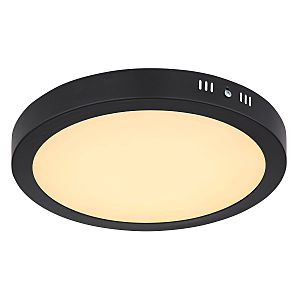 Светильник потолочный Dino 12374-24R