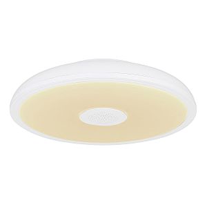 Светильник потолочный Raffy 41366W