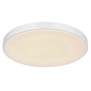 Светильник потолочный Sonny 41586-24