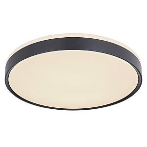 Светильник потолочный Sonny 41587-24