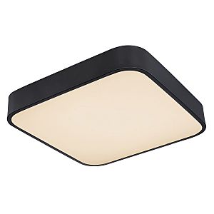 Светильник потолочный Leanara 41755-24B