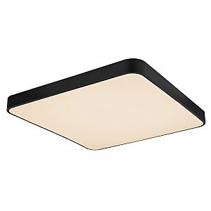 Светильник потолочный Leanara 41755-48B