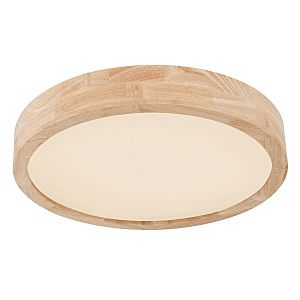 Светильник потолочный Leanara 41756-24