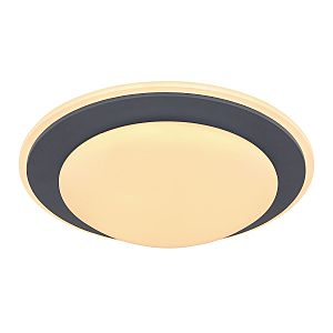 Светильник потолочный Deggi 48297-24