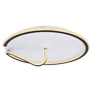 Потолочная люстра Rodan 48439-50