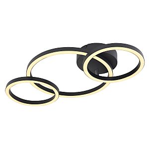 Потолочная люстра Reggy 67238-24B