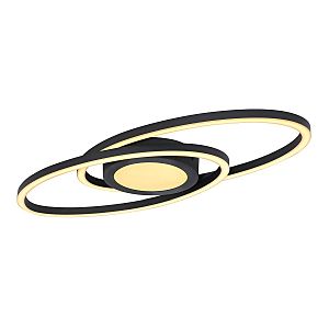 Потолочная люстра Reggy 67239-24B